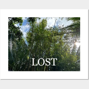 Lost Posters and Art